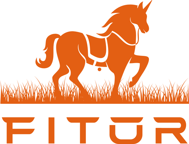 FITOR INVESTING LIMITED